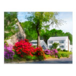 Suburban Azalea Garden Post Card