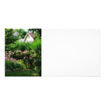 Suburban Garden With Roses Custom Photo Card