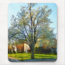'Suburbs - Late Afternoon In Spring' by Susan Sava Mouse Pad