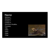 Success Business Card Templates
