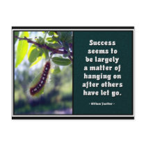 Success Seems To Be... Postcard