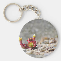 Succulent Plants Keychain