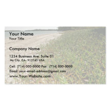 Succulent plants on beach business card templates