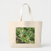 Succulents Bag