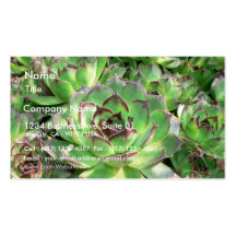Succulents Business Cards