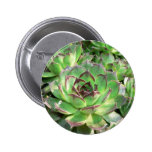 Succulents Buttons