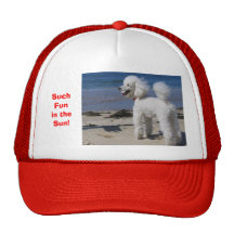 Such Fun in the Sun! Trucker Hats