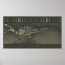 Suchomimus tenerensis print