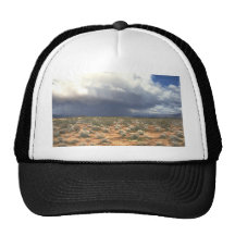 Sudden Downpour Mesh Hats