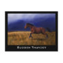 Sudden Thunder Horse Art Postcards