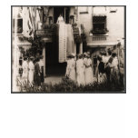 Suffragists Celebrate Ratification 19th Amendment t-shirts