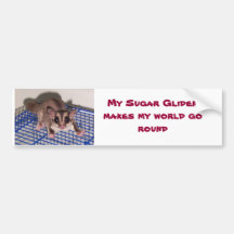 Sugar Glider are COOOL Bumper Stickers