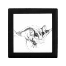 Sugar Glider Drawing, Sketch Jewelry Box