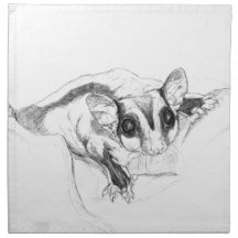 Sugar Glider Drawing, Sketch Printed Napkin