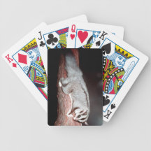 Sugar Glider - Petaurus breviceps Playing Cards
