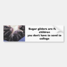 Sugar gliders are furr... bumper stickers
