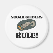 SUGAR GLIDERS Rule! Magnets