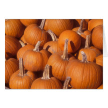 Sugar Pumpkins Card