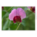 Sugar Snap Pea Flower Card