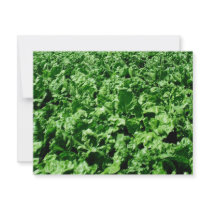 Sugarbeet field personalized invitation