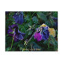 Sugared Pansy, Flowers of the Mind Postcard