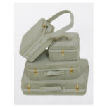 Suitcases1030609 copy full color flyer