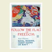 Suivez le drapeau de la liberté (US02179) affiches