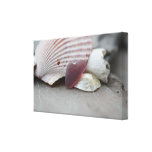 Suivez votre art de mur de coeur impressions sur toile