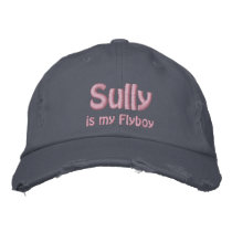 Sully is my Flyboy, US Airways, Flight 1549