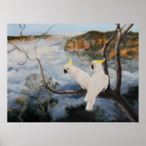 Sulphur Crested Cockatoos in The Blue Mountains Poster