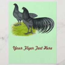 Sumatra:  Blue Pair Flyers