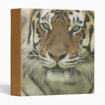 Sumatran Tiger Binder
