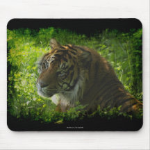Sumatran Tiger Wild Animal Big Cat-Lover Mousepad
