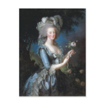 Summary Description Queen Marie Antoinette of Fran