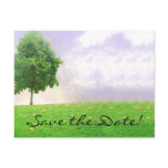 Summer/Autumn Tree "Save the Date" Postcard