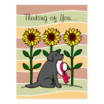 Summer Black Labrador with Sunflowers Post Card