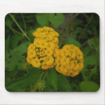Summer Blooms mousepad