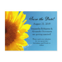 Summer Blue Sky with Yellow Sunflower Post Cards