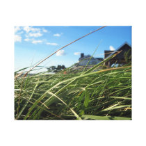 Summer Breeze Canvas Prints
