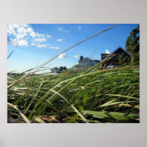 Summer Breeze Print