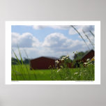 Summer breeze poster