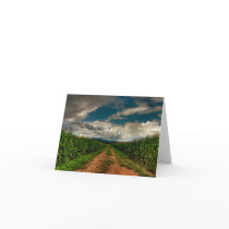 Summer Cornfield Blank Notecard