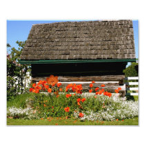 Summer Cottage Art Photo