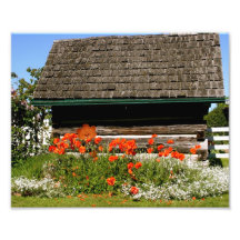 Summer Cottage Art Photo