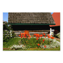 Summer Cottage photography