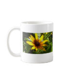 summer daisy coffee mug