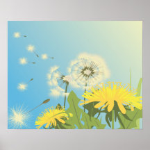 summer dandelions vector illustration posters