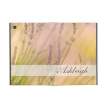Summer Daydream iPad Mini Case