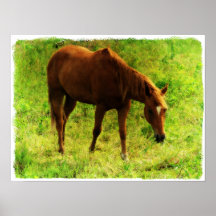 Summer Dreams, Sorrel Eating Grass Posters