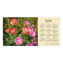 Summer flowers 2012 Calendar Photo Card